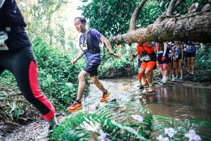 BIB: 
                            <button type="button" onclick="openModal(25465626)" class="btn btn-primary btn-sm float-right btn-popup" data-toggle="modal" data-target=".modal-high-quality">
                        <i class="fas fa-shopping-cart"></i> Add to Cart
                    </button>
                                            <button type="button" onclick="isThisMe(25465626, true)" class="btn btn-success btn-sm float-right btn-popup btn-isme hidden" data-toggle="tooltip" data-placement="bottom" title="นี่คือรูปของคุณใช่ไหม คลิกที่นี่เพื่อเอาเข้าอัลบั้ม">
                        <i class="fas fa-plus"></i> Add to album
                    </button>
                    <button type="button" onclick="isThisMe(25465626, false)" class="btn btn-warning btn-sm float-right btn-popup btn-isnotme hidden">
                        <i class="fas fa-ban"></i> Remove from album
                    </button>